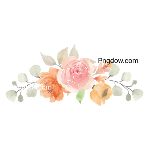 Vector collection of herry watercolor flowers and transparent background in png, (19)