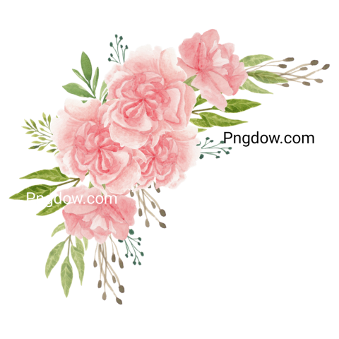 Vector collection of herry watercolor flowers and transparent background in png, (5)