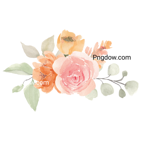 Vector collection of herry watercolor flowers and transparent background in png, (36)