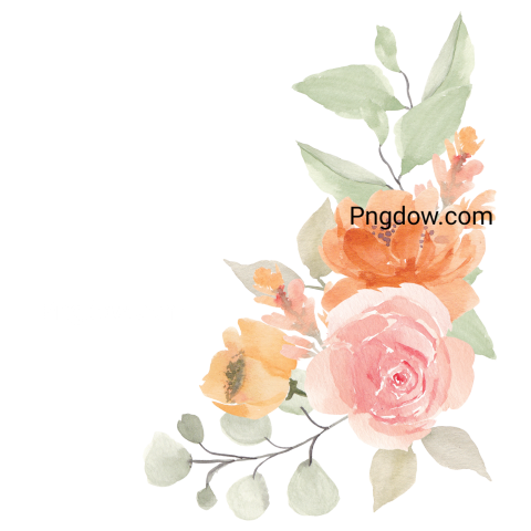 Vector collection of herry watercolor flowers and transparent background in png, (29)