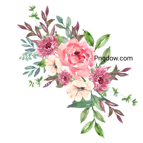 Vector collection of herry watercolor flowers and transparent background in png, (21)