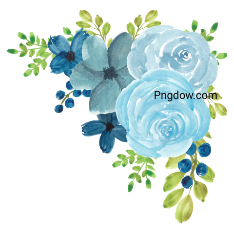 Vector collection of herry watercolor flowers and transparent background in png, (22)