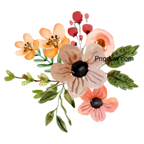 Vector collection of herry watercolor flowers and transparent background in png, (78)