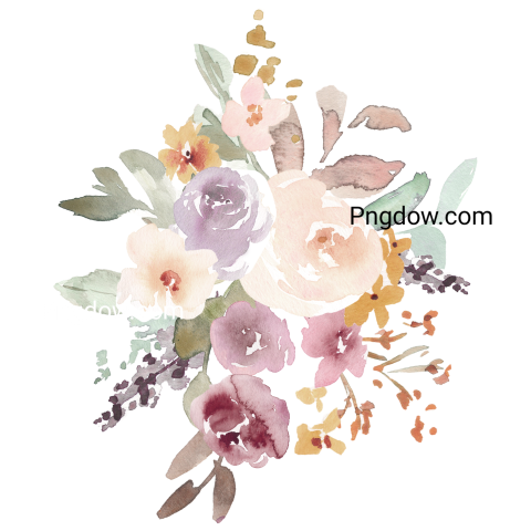 Vector collection of herry watercolor flowers and transparent background in png, (75)