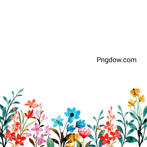 Vector collection of herry watercolor flowers and transparent background in png, (93)