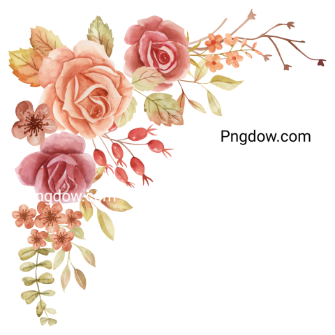 Vector collection of herry watercolor flowers and transparent background in png, (90)