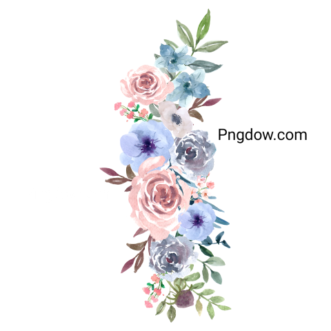 Vector collection of herry watercolor flowers and transparent background in png, (88)
