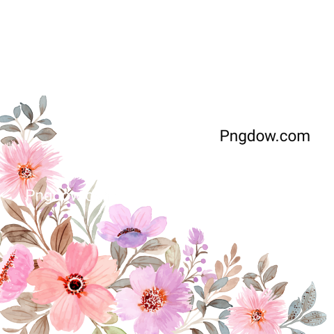 Vector collection of herry watercolor flowers and transparent background in png, (117)