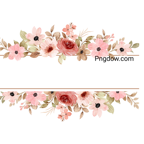 Vector collection of herry watercolor flowers and transparent background in png, (114)
