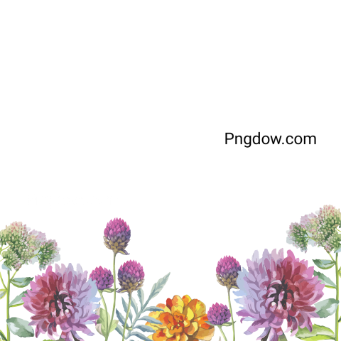 Vector collection of herry watercolor flowers and transparent background in png, (121)