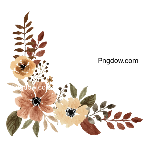 Vector collection of herry watercolor flowers and transparent background in png, (135)