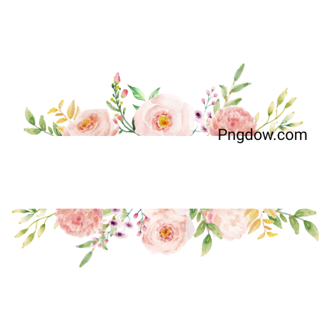 Vector collection of herry watercolor flowers and transparent background in png, (132)