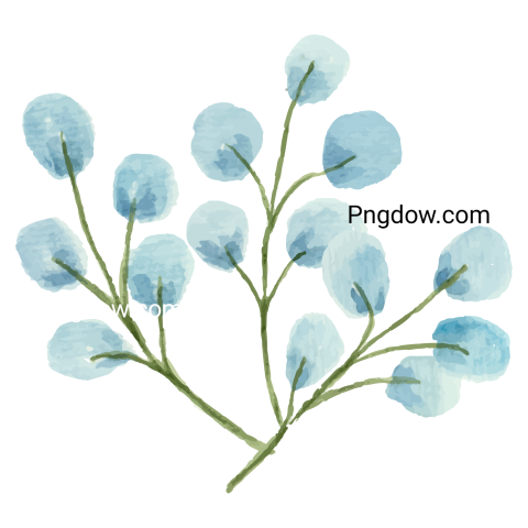 Vector collection of herry watercolor flowers and transparent background in png, (145)