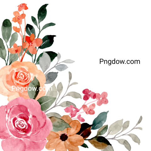 Vector collection of herry watercolor flowers and transparent background in png, (138)