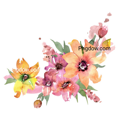 Vector collection of herry watercolor flowers and transparent background in png, (147)