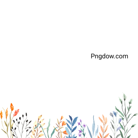 Vector collection of herry watercolor flowers and transparent background in png, (172)