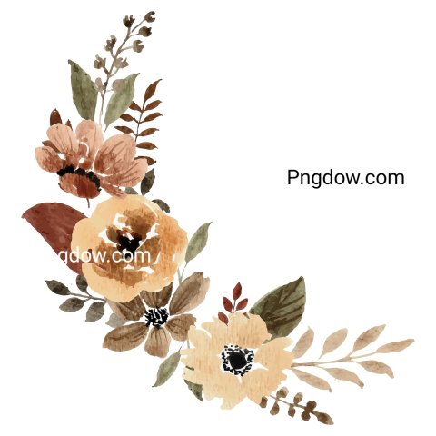 Vector collection of herry watercolor flowers and transparent background in png, (165)
