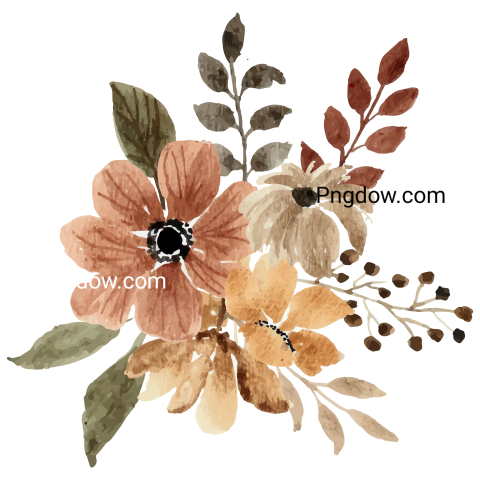 Vector collection of herry watercolor flowers and transparent background in png, (162)