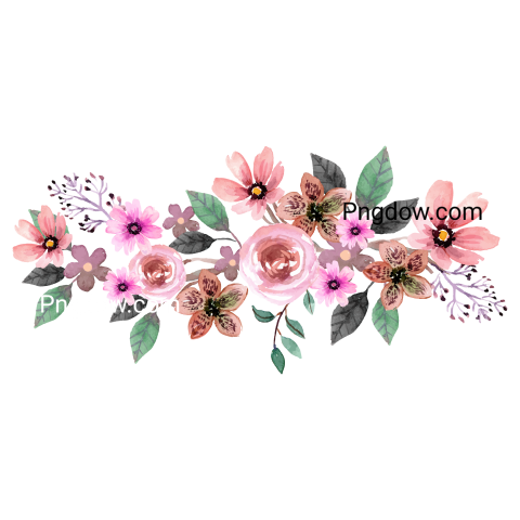 Vector collection of herry watercolor flowers and transparent background in png, (157)