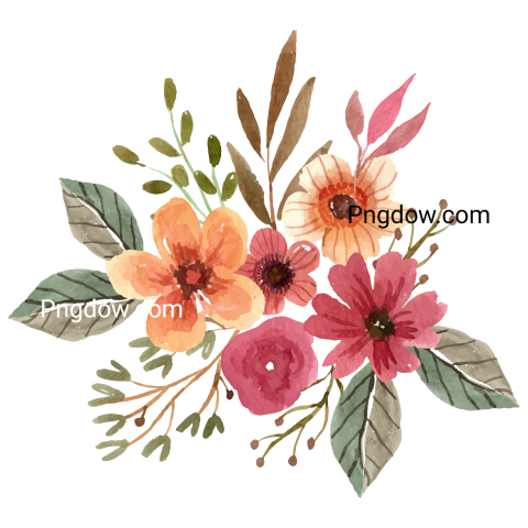 Vector collection of herry watercolor flowers and transparent background in png, (161)