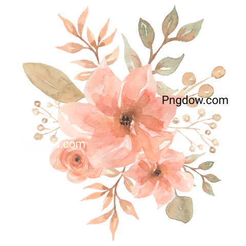 Vector collection of herry watercolor flowers and transparent background in png, (170)