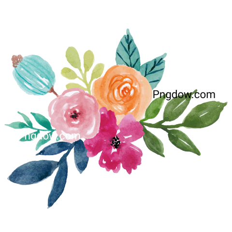 Vector collection of herry watercolor flowers and transparent background in png, (177)