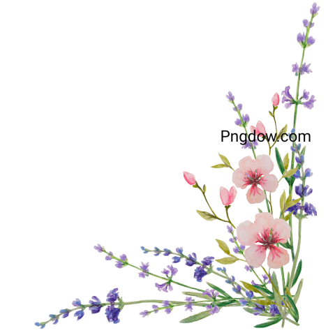 Vector collection of herry watercolor flowers and transparent background in png, (182)