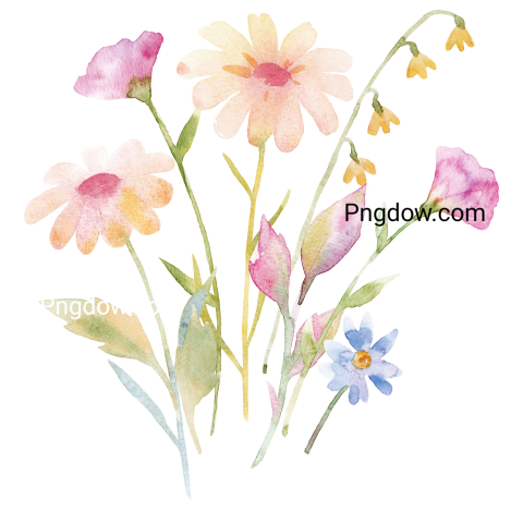 Vector collection of herry watercolor flowers and transparent background in png, (184)