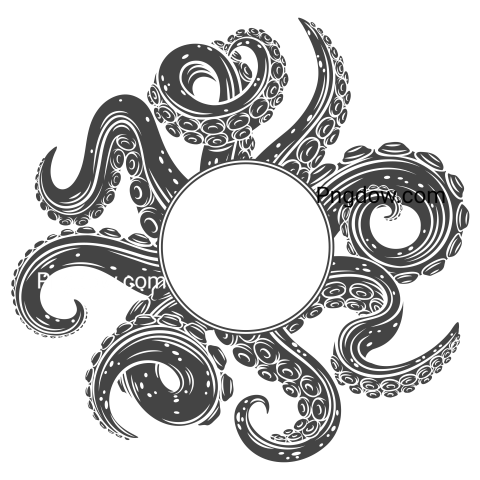 Octopus, png, transparent background for Free, (3)