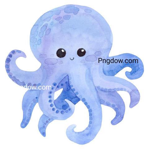 Octopus, png, transparent background for Free, (15)
