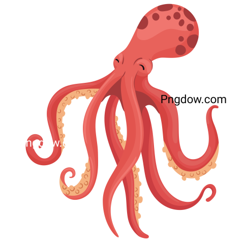 Octopus, png, transparent background for Free, (22)
