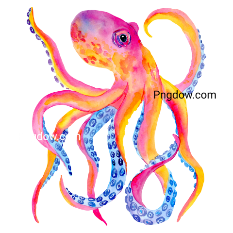 Watercolor octopus illustration   sea animals painting