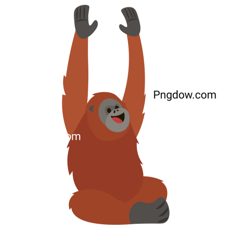 Orangutan wild animal on transparent image background
