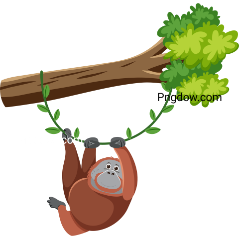 Orangutan Hanging on Tree