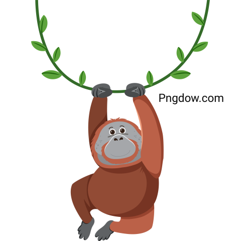Orangutan Hanging on Liana transparent background