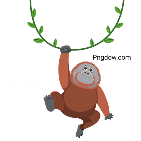 Orangutan Hanging on Liana