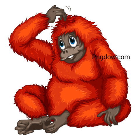 Orangutan wild animal on png images