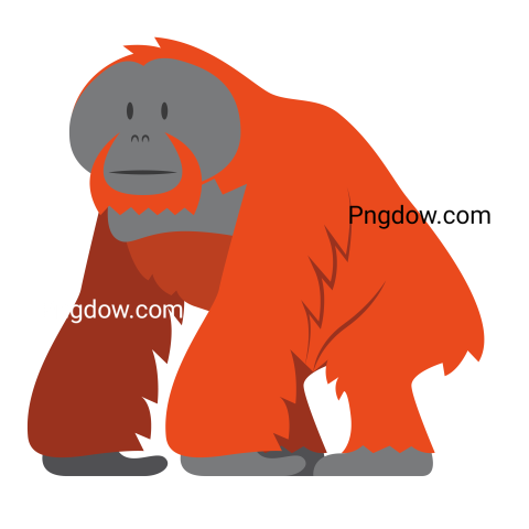 Cartoon Orangutan Isolated