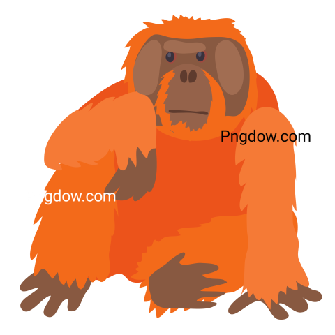 Orangutan Icon, Cartoon Style
