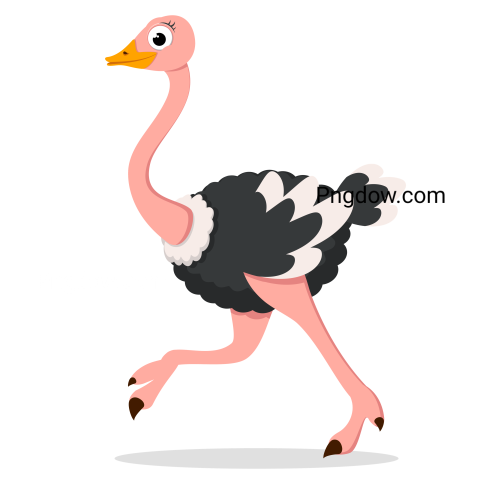Ostrich Bird Illustration transparent background