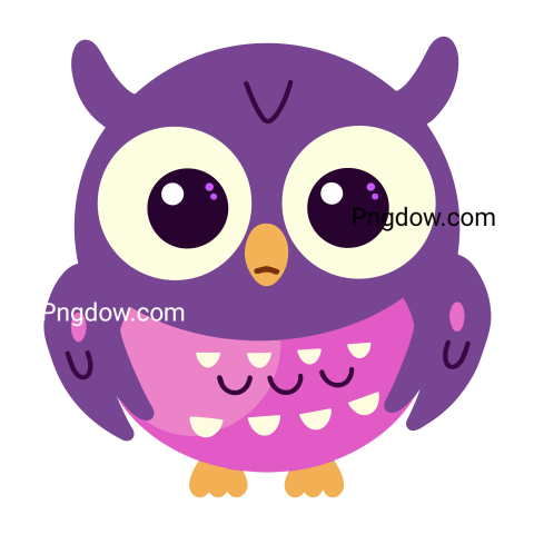 Cute Owl Png images for Free