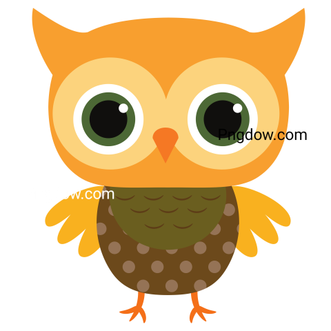Cute Owl Vector Icon transparent background