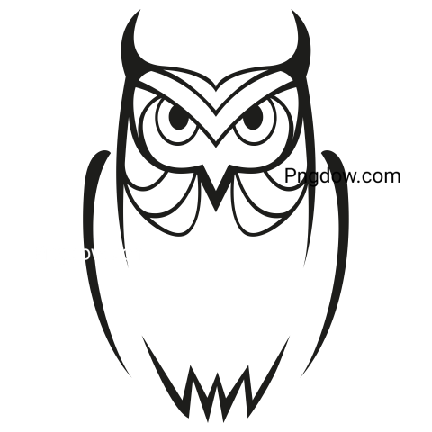 Owl Outline transparent background