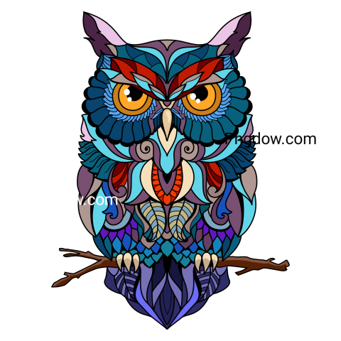 Fantasy owl transparent background