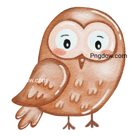Watercolor owl transparent background for Free
