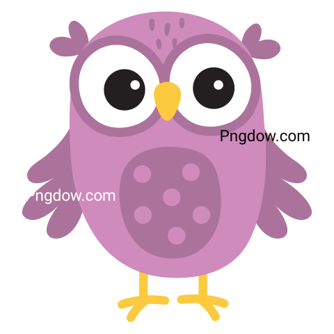 Vector image of a cute owl transparent background