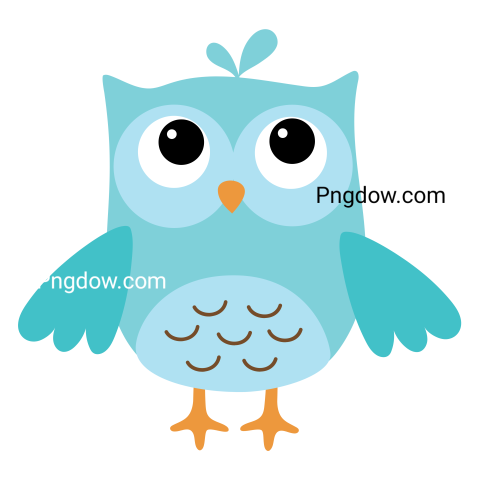 Blue Owl Bird transparent background