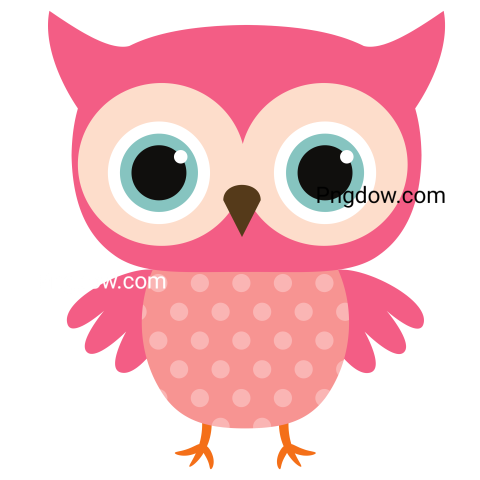 Cute Pink Owl transparent background
