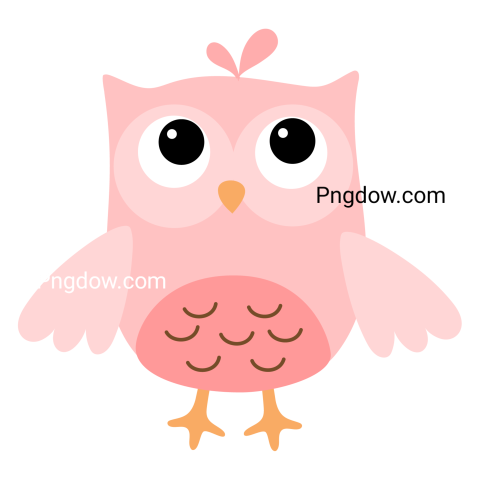 Pink Owl Illustration transparent background