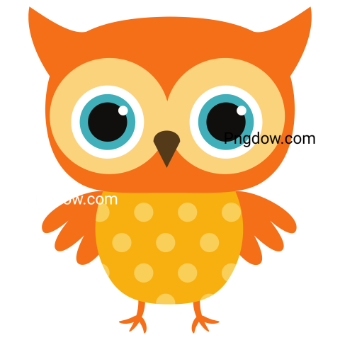 Owl Cartoon transparent background